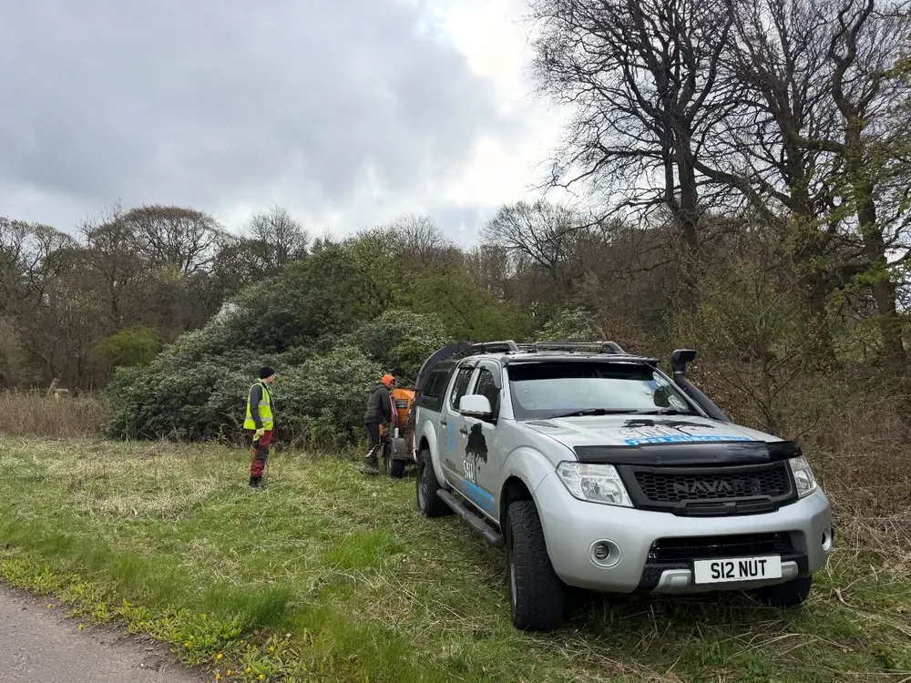 SNL crew clearing overgrown scrub with the company pickup on a site clearance job
